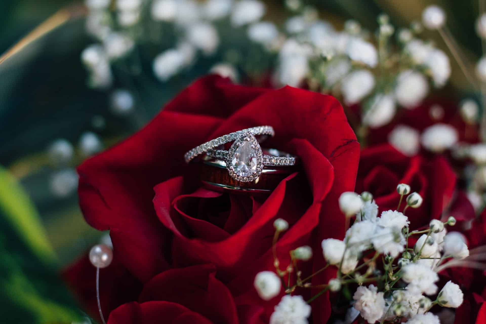 engagement ring and wedding ring placed in red rose